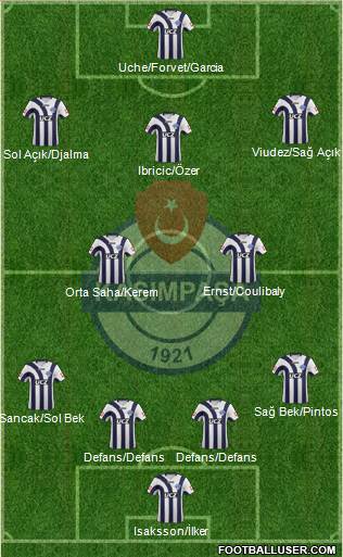 Kasimpasa Formation 2013