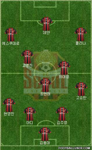 FC Seoul Formation 2013