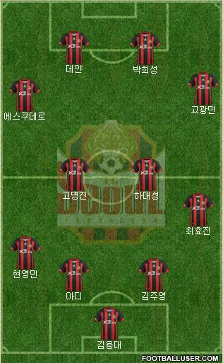 FC Seoul Formation 2013