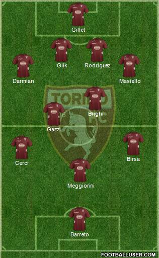 Torino Formation 2013