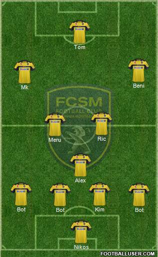 FC Sochaux-Montbéliard Formation 2013