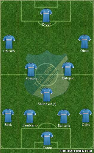 TSG 1899 Hoffenheim Formation 2013