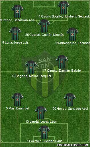 San Martín de San Juan Formation 2013