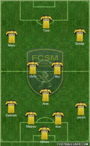 FC Sochaux-Montbéliard Formation 2013