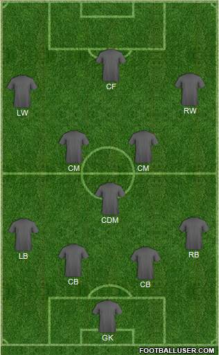 Wolverhampton Wanderers Formation 2013