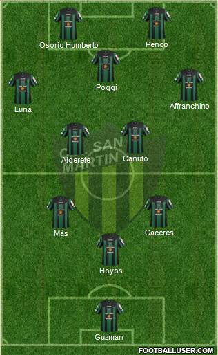 San Martín de San Juan Formation 2013