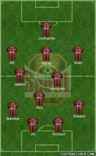 FC Seoul Formation 2013