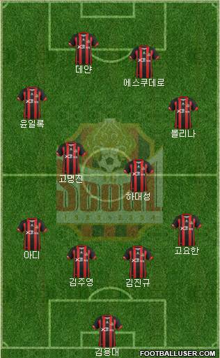 FC Seoul Formation 2013