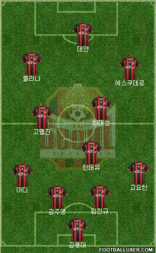 FC Seoul Formation 2013