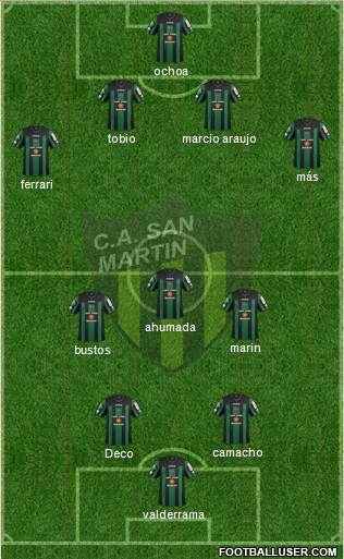 San Martín de San Juan Formation 2013