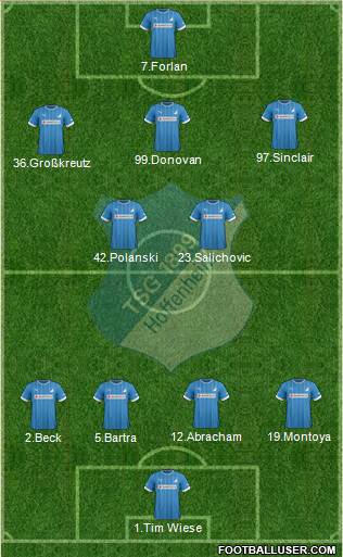 TSG 1899 Hoffenheim Formation 2013