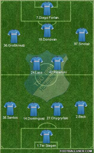 TSG 1899 Hoffenheim Formation 2013