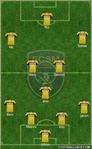 FC Sochaux-Montbéliard Formation 2013