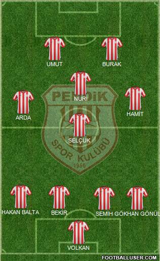 Pendikspor Formation 2013