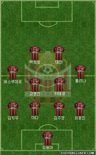 FC Seoul Formation 2013