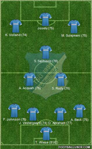 TSG 1899 Hoffenheim Formation 2013