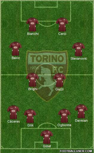 Torino Formation 2013