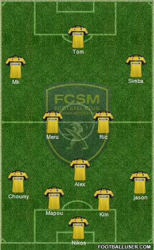 FC Sochaux-Montbéliard Formation 2013