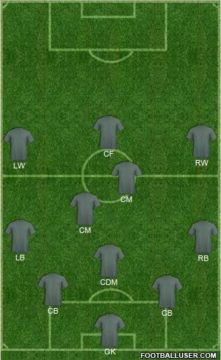 Wolverhampton Wanderers Formation 2013