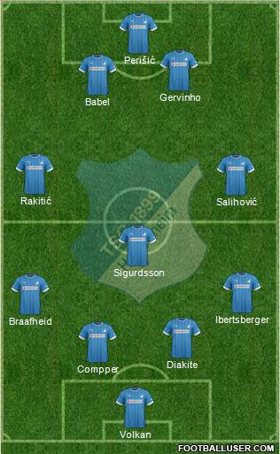 TSG 1899 Hoffenheim Formation 2013