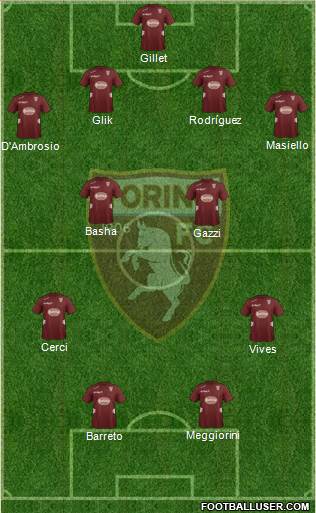 Torino Formation 2013