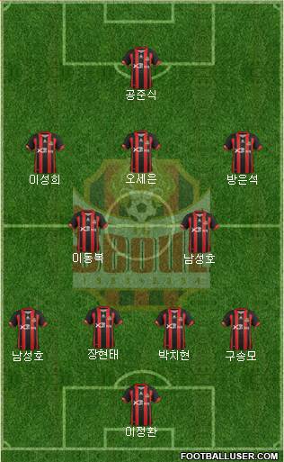 FC Seoul Formation 2013