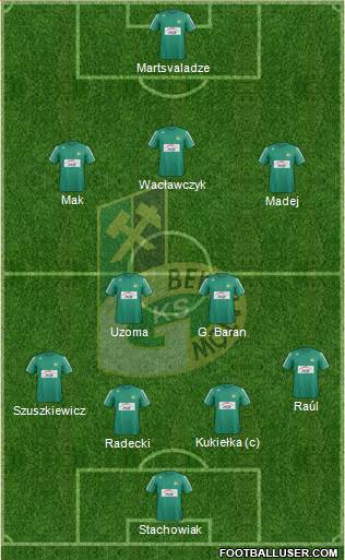 GKS Belchatow Formation 2013