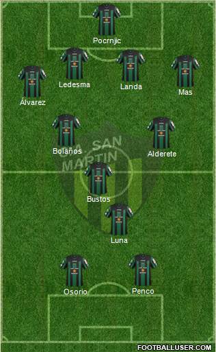 San Martín de San Juan Formation 2013