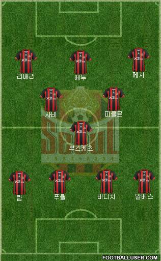 FC Seoul Formation 2013