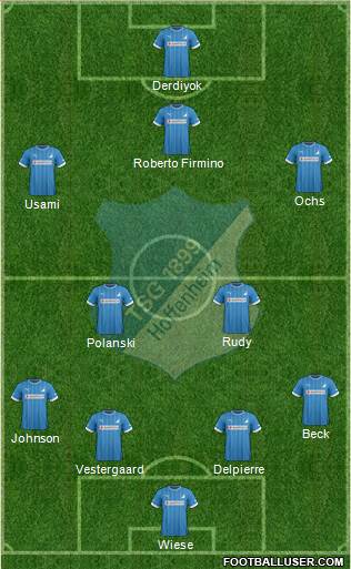 TSG 1899 Hoffenheim Formation 2013