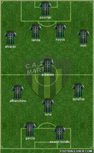 San Martín de San Juan Formation 2013