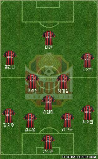 FC Seoul Formation 2013