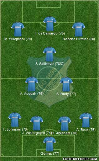 TSG 1899 Hoffenheim Formation 2013