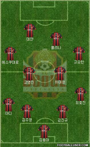 FC Seoul Formation 2013