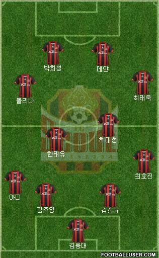 FC Seoul Formation 2013