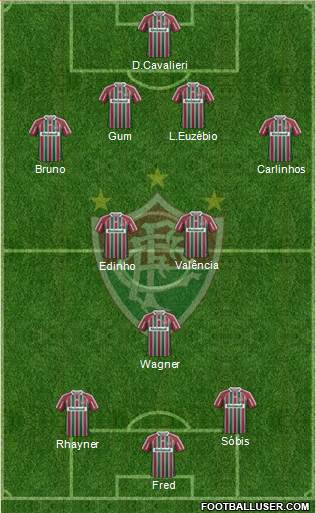 Fluminense FC Formation 2013