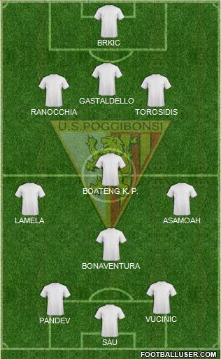 Poggibonsi Formation 2013