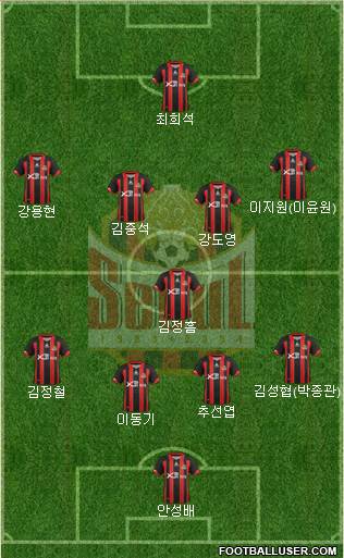 FC Seoul Formation 2013