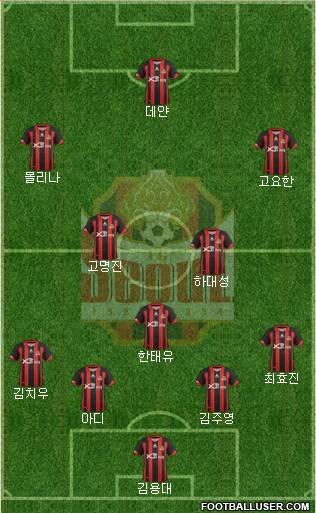 FC Seoul Formation 2013