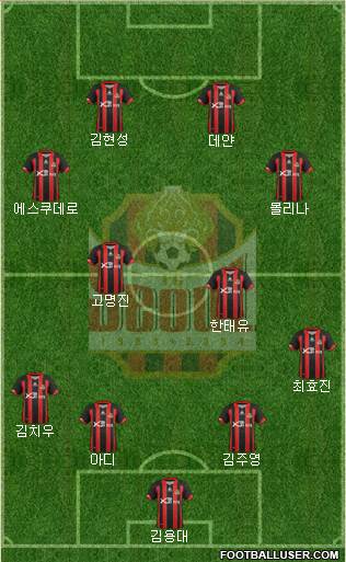 FC Seoul Formation 2013