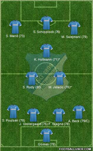 TSG 1899 Hoffenheim Formation 2013