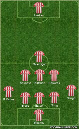 Stoke City Formation 2013