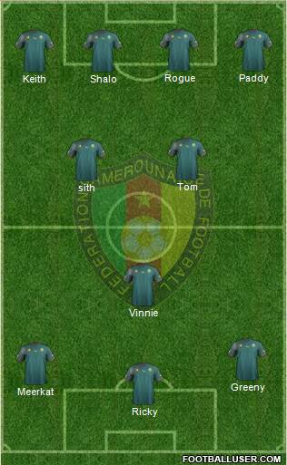 Cameroon Formation 2013