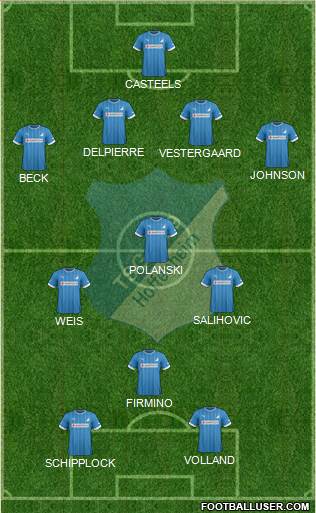 TSG 1899 Hoffenheim Formation 2013