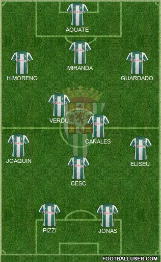 Córdoba C.F., S.A.D. Formation 2013