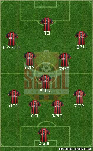 FC Seoul Formation 2013