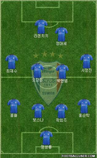 Suwon Samsung Blue Wings Formation 2013