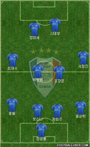 Suwon Samsung Blue Wings Formation 2013