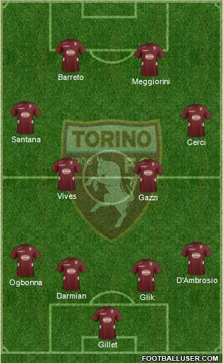 Torino Formation 2013