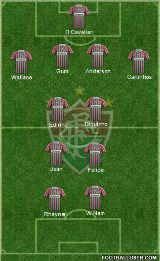 Fluminense FC Formation 2013